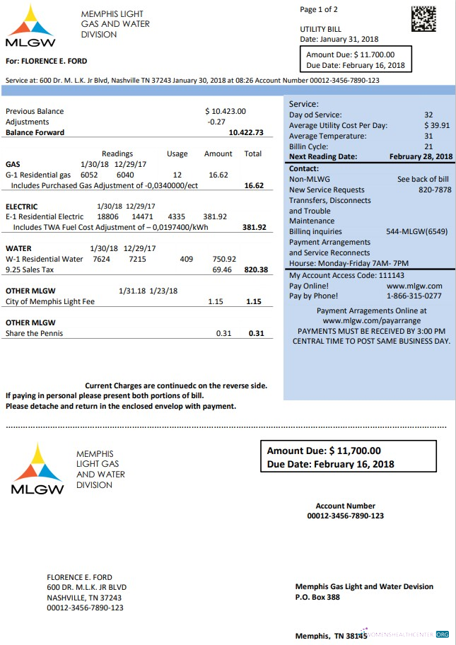 download download USA Tennessee MLGW utility bill template in Word and PDF format PDF template PDF template